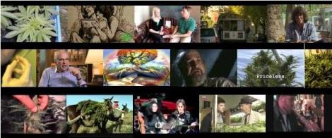 Cannabis Documentaries: Watch full Hemp, Hash and Marijuana Documentary Films online!