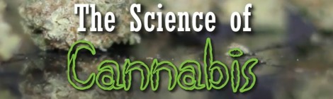 The Science Of Cannabis